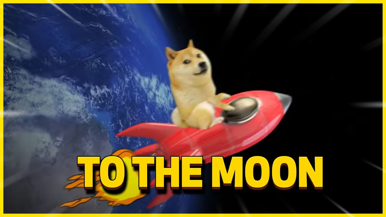 ? DOGECOIN GOING TO THE MOON: SPACEX DOGE-1 NOVEMBER 15-20