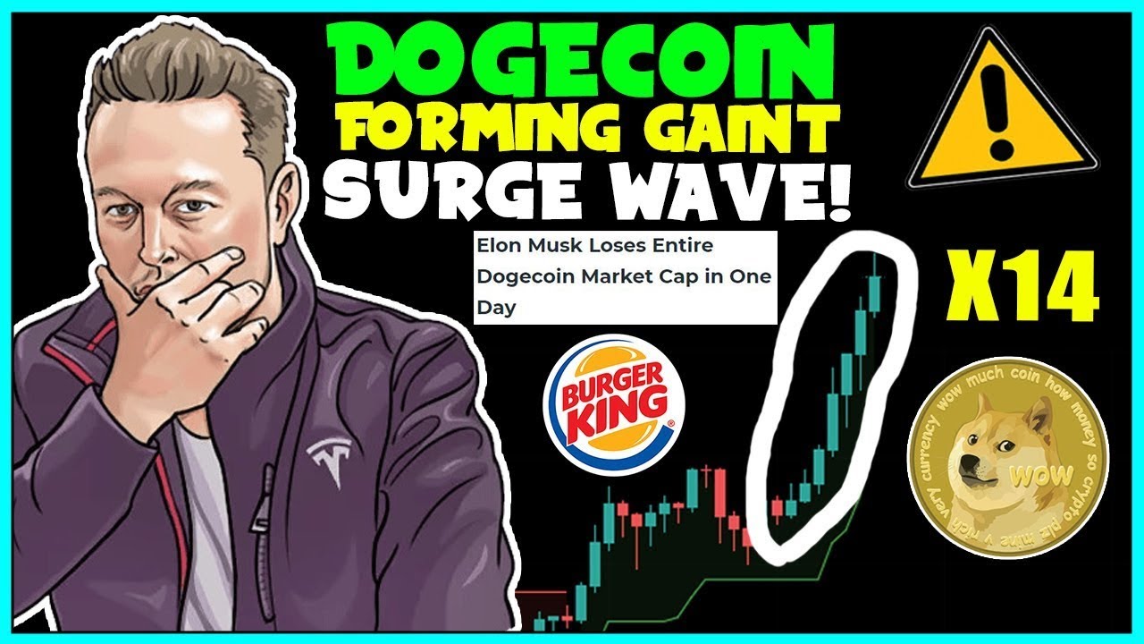 ALL DOGECOIN HOLDERS DONT BE FOOLED BY THIS! 🥶 - ELON MUSK, SpaceX! 👊 DOGECOIN PRICE ACTION! TXN!