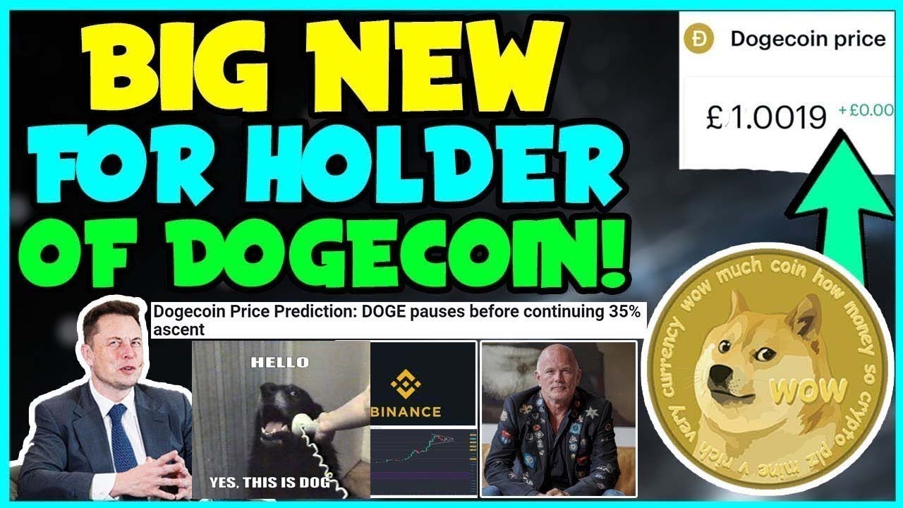 Elon Musk Hints Dogecoin Will Go To $0.32 At Least! (Twitter Push Incoming!) MASSIVE WHALES RETURN!.