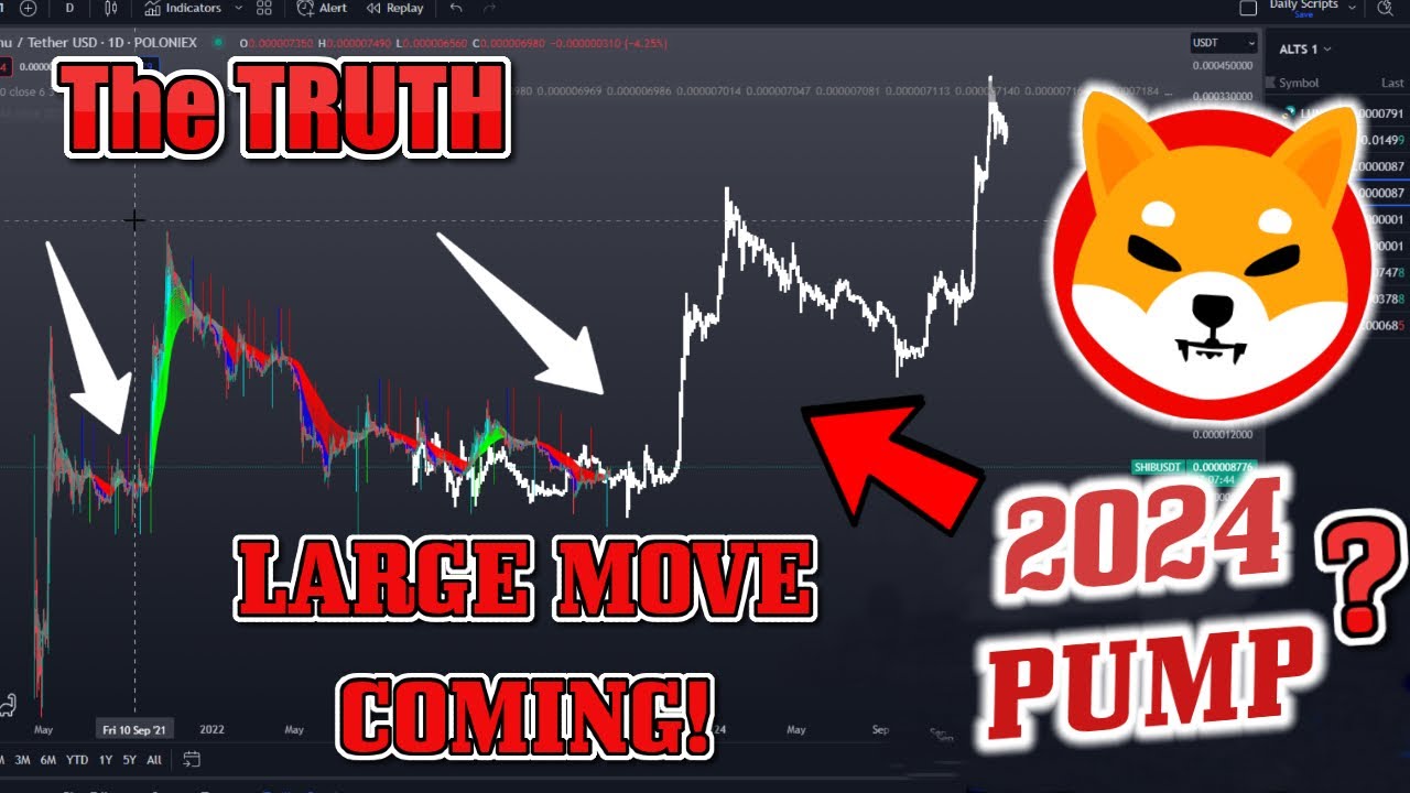 SHIBA INU DOGECOIN 2024 BULL RUN PUMP COMING!? The TRUTH About How High SHIBA INU Coin Will GO!?