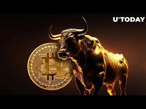 Experts are unanimously bullish: Bitcoin bull market is coming, how will Dogecoin react?