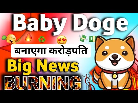 대소각 🥳 Cz 바이낸스 대대 발표🔥 오늘의 Baby dogecoin 소식 / Baby doge future / Baby doge