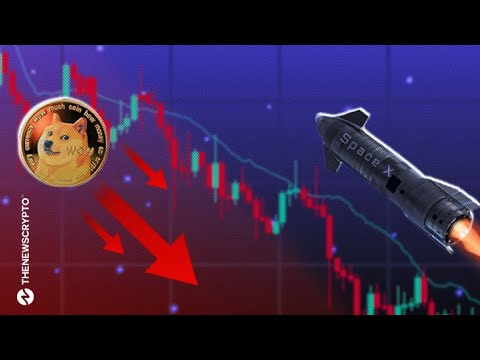 Après le lancement de Musk's Starship, Dogecoin peut-il connaître un gros rebond après avoir connu les fluctuations du marché ?