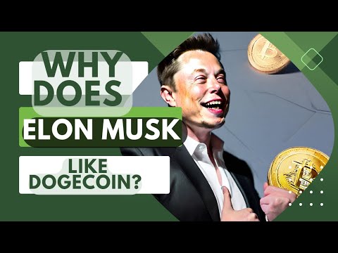 elon musk talking about dogecoin news today