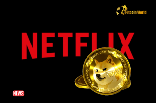 El director de Netflix gana 27 millones de dólares de la apuesta Doge de 4 millones de dólares