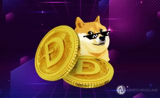 DOGE Transactions Exceed $100,000: Is Dogecoin Gaining Serious Investor Attention?