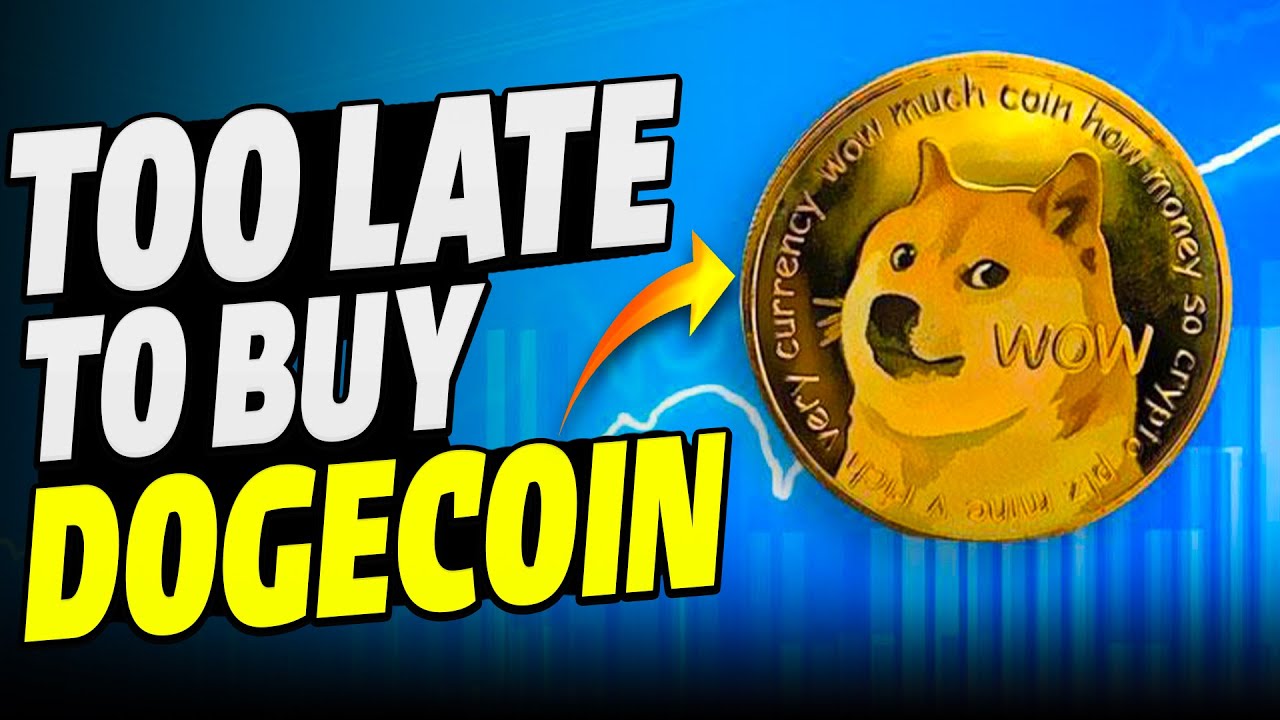 Decoding Dogecoin: To Buy or Not to Buy?