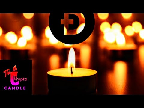 Late night (candle lit) Dogecoin and Elon Musk conversation!