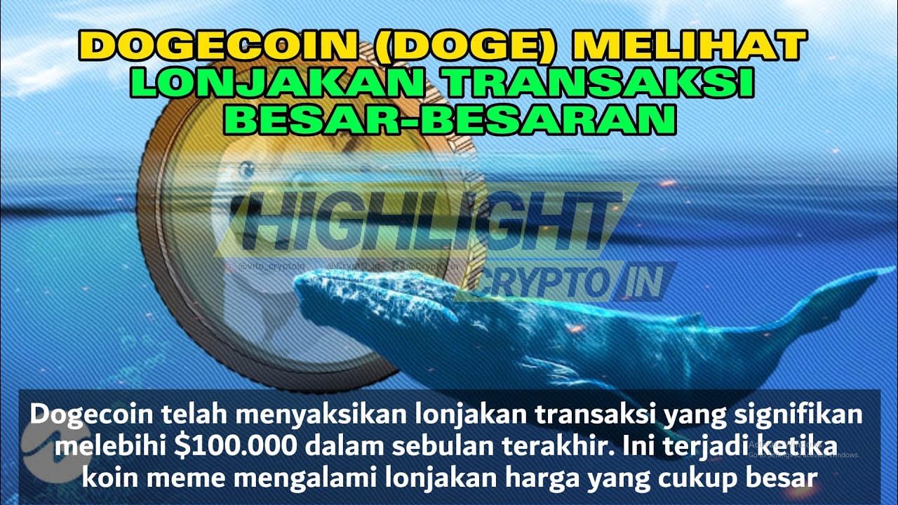 DOGECOIN (DOGE) SAW A MASSIVE SURGE IN TRANSACTIONS