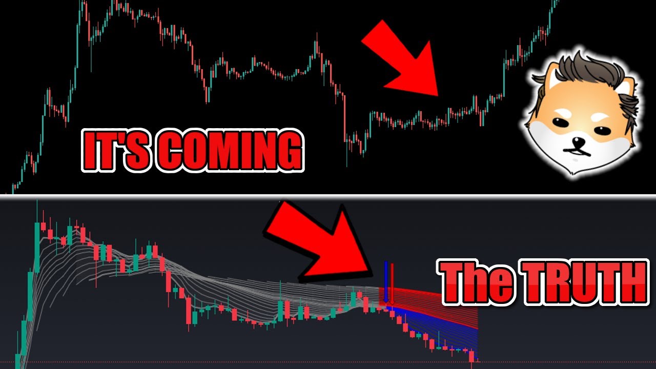 The TRUTH About Dogelon Mars BULL RUN PUMP!? Dogelon Mars BULL RUN Pump Coming!? ELON Analysis Today