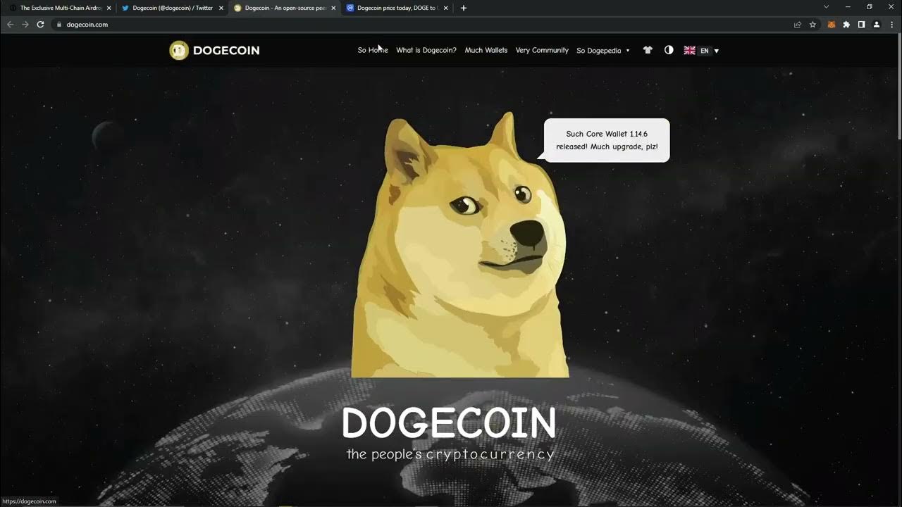 DOGE Coin | DOGECOIN Cryptocurrency | How Does DOGECOIN Crypto Work | Airdrop 💎💎💎