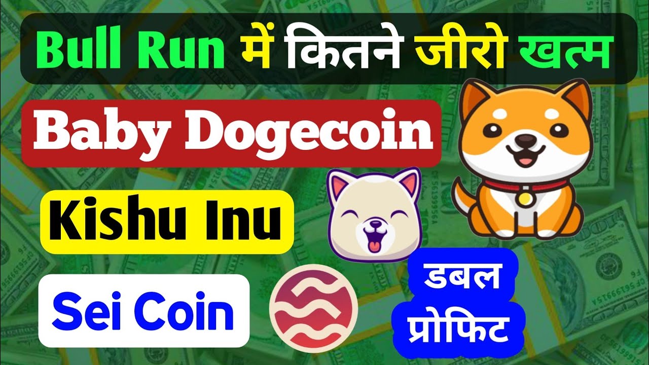 How many zeros will Baby Dogecoin finish in Bull Run? Kishu Inu | Sei coin price prediction