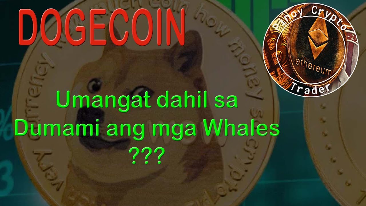 Dogecoin Rises Again Due to Whales?