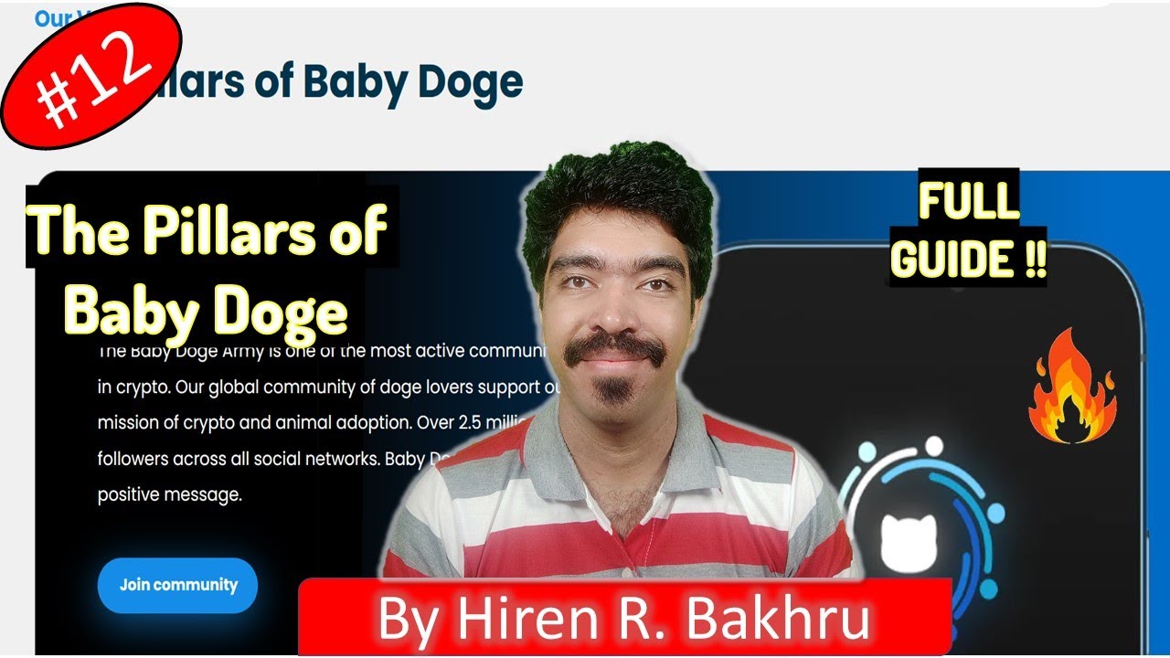 #12 | Baby Doge Coin | The Pillars of Baby Doge