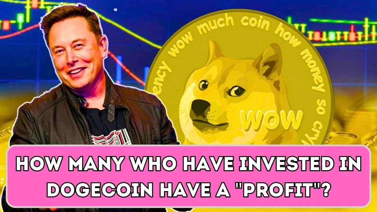 How many who have invested in Dogecoin have the status of profit?