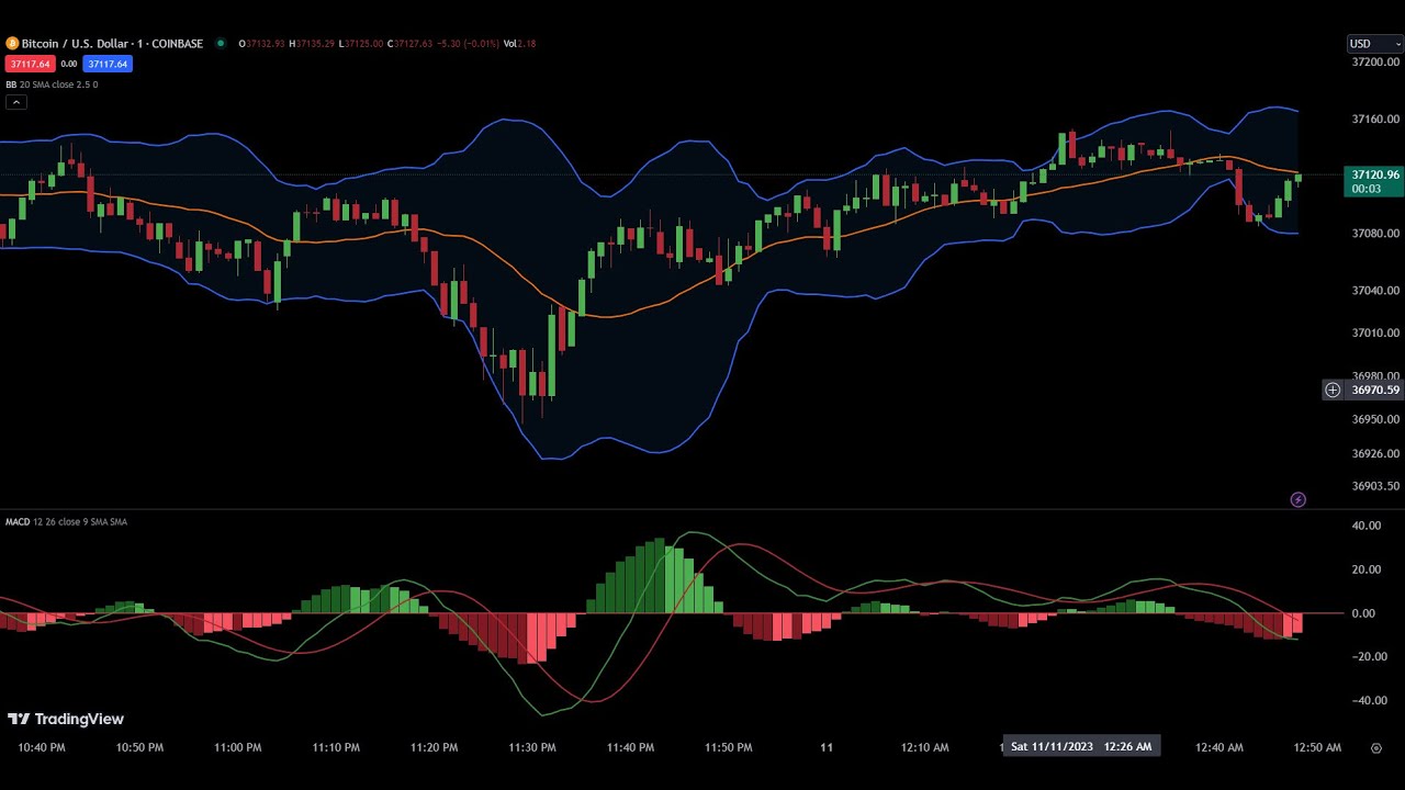 Dogecoin Shorting 