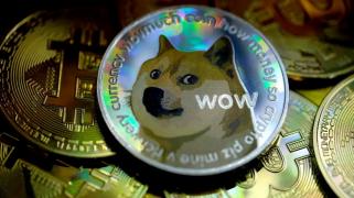 Dogecoin leads amid market correction, pumps meme crypto cap