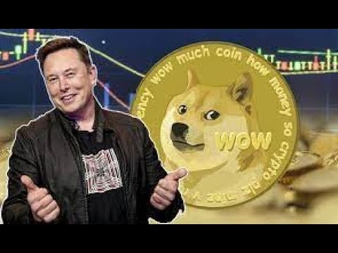 BTC USTC Dogecoin in accumulation. Elon Musk will pump.