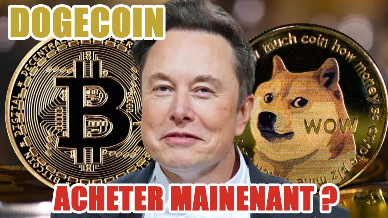 DOGECOIN: BUY NOW?