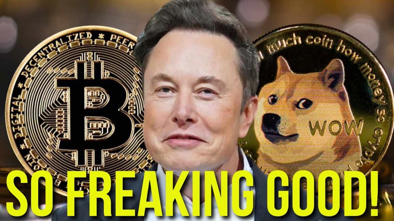 Dogecoin HUGE Freaking Pump!! This is so GOOD for Doge!!! #dogecoinnews #dogecoin