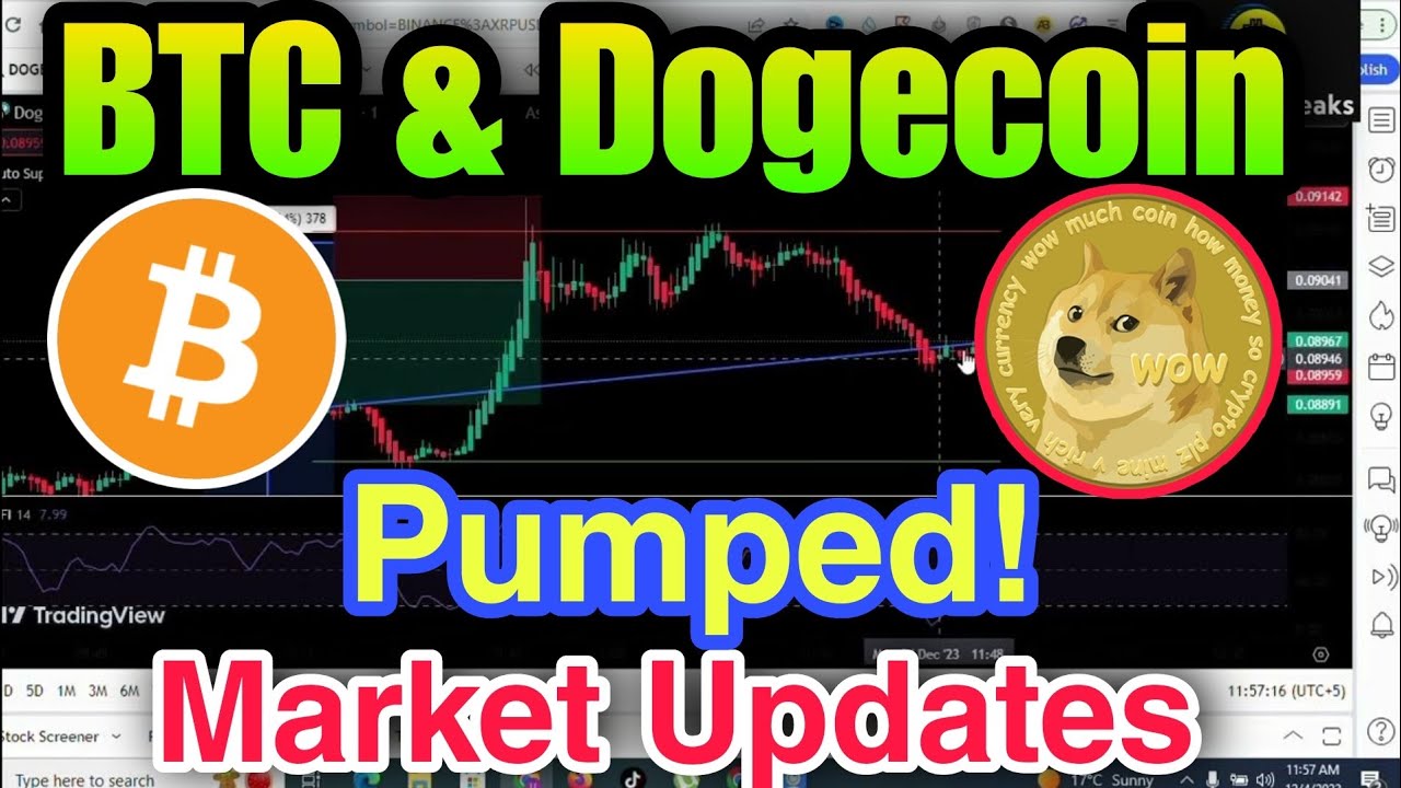 Bitcoin & Dogecoin are Pumped! Crypto News Today