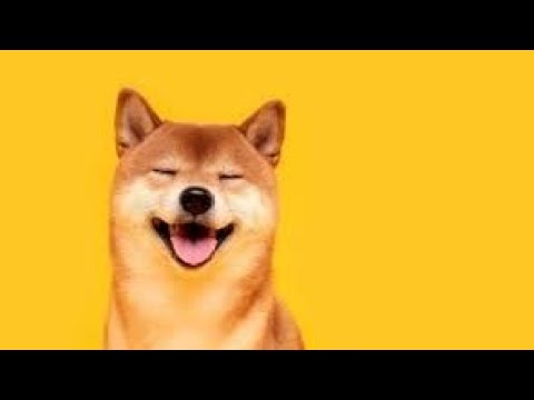 Dogecoin Jitter Opening