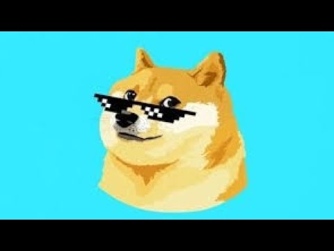 Dogecoin News- December 4th, 2023