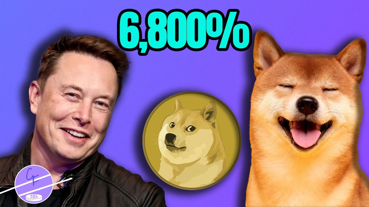 The Potential Impact of Elon Musk's Dogecoin Integration