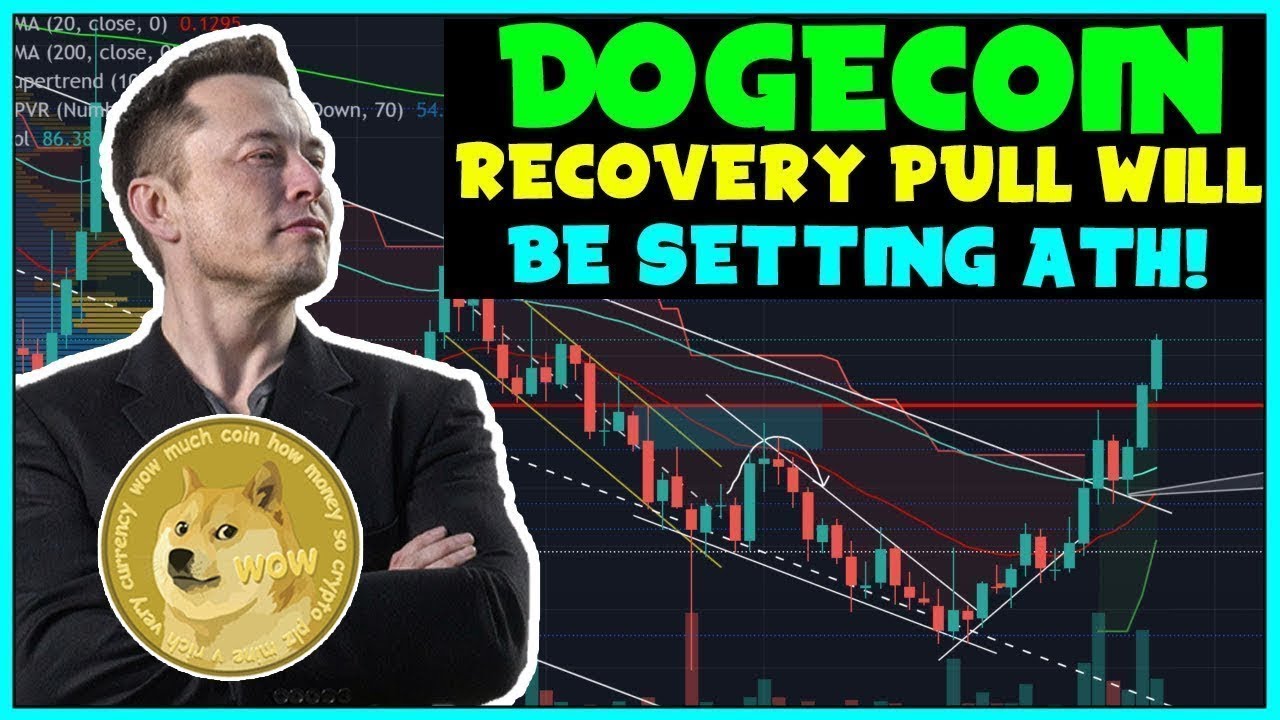 Elon Musk Hints Dogecoin Will Go To $0.29 At Least! (Doge Day Transaction Pump!) TESLA, SPACEX...