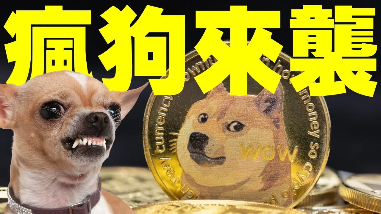 Mad dog is coming! Analysts think Dogecoin is “about to go crazy”