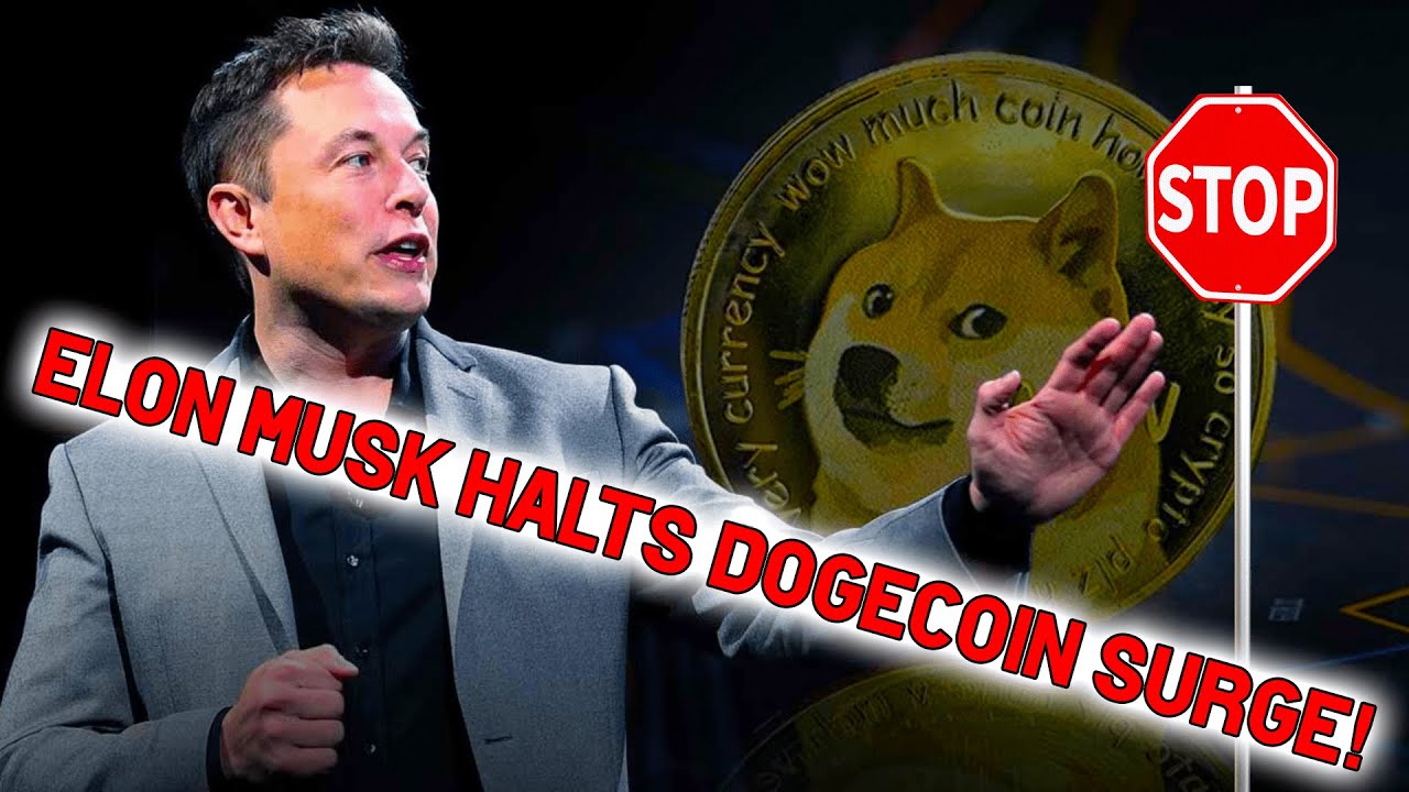 CRYPTOSTOCK DAILY NEWS! ELON MASK HALTS DOGECOIN SURGE!(Podcast ENG)