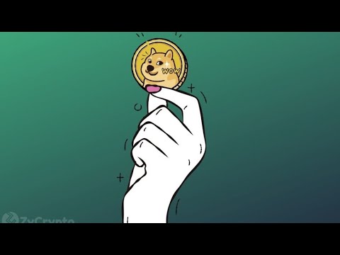 오늘 dogecoin 최신 뉴스 || dogecoin 테슬라 뉴스 || 오늘 dogecoin 뉴스 업데이트