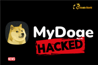 MyDoge-Twitter-Konto gehackt, mobile App und Wallet sicher