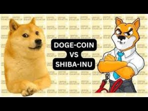 LAST 14 MINUTES!🚀DOGECOIN IS 2-3$, AND THESE HISTORICAL PEAKS WILL BE WITNESSED IN SHIBA: A NUMBER OF MOMENTS FOR THE RALLY..🔥