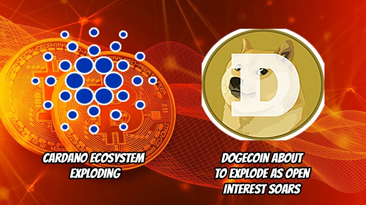 Cardano Ecosystem Exploding!! Doge about to explode as open interest soars?