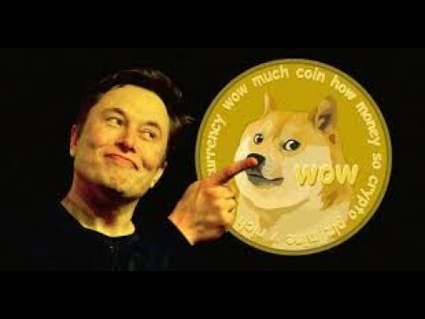 Dogecoin für Crypto Freundin