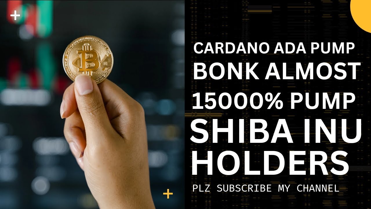 Baby Dogecoin Neues Angebot | Cardano Ada-Pumpe | Bonk Fast 15000 % | Shiba Inu-Halter | BTC 44k