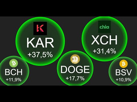 Coin overview: Karura (KAR), Bitcoin Cash (BCH), Bitcoin SV (BSV), Dogecoin (DOGE), Chia (XCH).