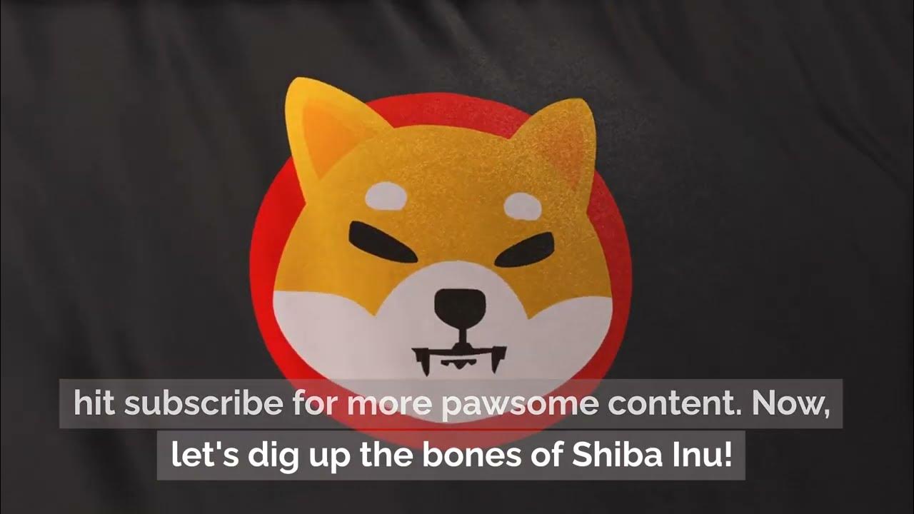 Unleashing SHIB: The meme coin phenomenon