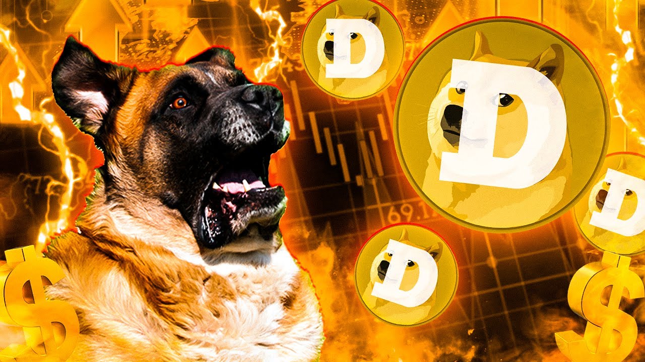 Is DOGE a SCAM? What is Doge Coin?