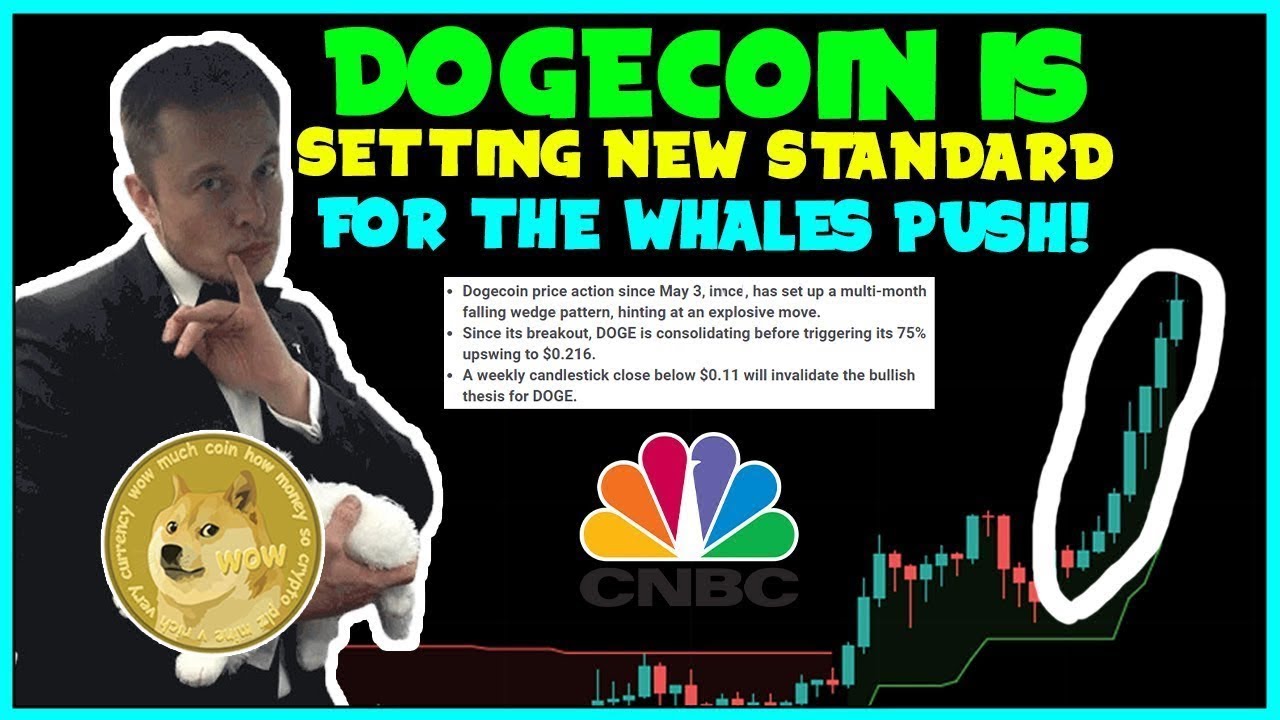 Dogecoin Faces Problems In Flying To $0.17 In 2023! (Elon Musk WHALES RETURN!) SEC Problems!.