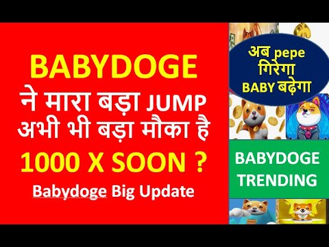 Babydoge ビッグニュース : BABY DOGECOIN 将来価格 : BABYDOGE コイン価格予測