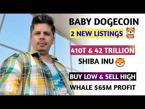 史上最高 | 410T & 42 兆の柴犬 | Baby Dogecoin 2 リスト | 1.8B スタークネット | WRXポンプ