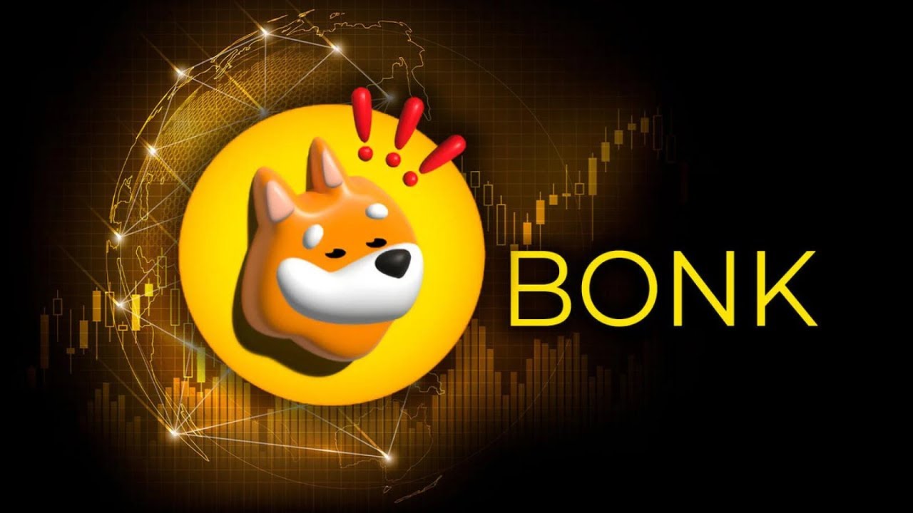 BONK MEME COIN TO 100X  IT'S LIKE BUYING DOGECOIN IN 2020