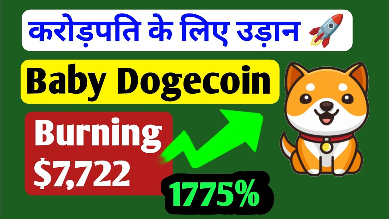 baby dogecoin flight to millionaire 🚀 | baby dogecoin listing update | burning All Information BTC