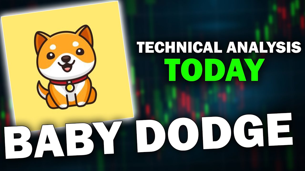 BABY DOGE COIN BABYDOGE BULLRUN PUMP COMING? | BABYDOGE Technical Analysis | BABYDOGE Price