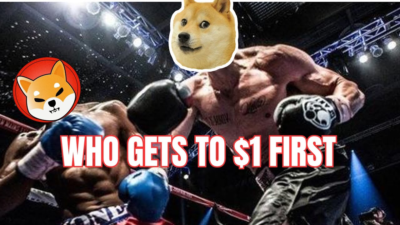 Dogecoin Or Shiba - Which Coin Will Reach $1 First?