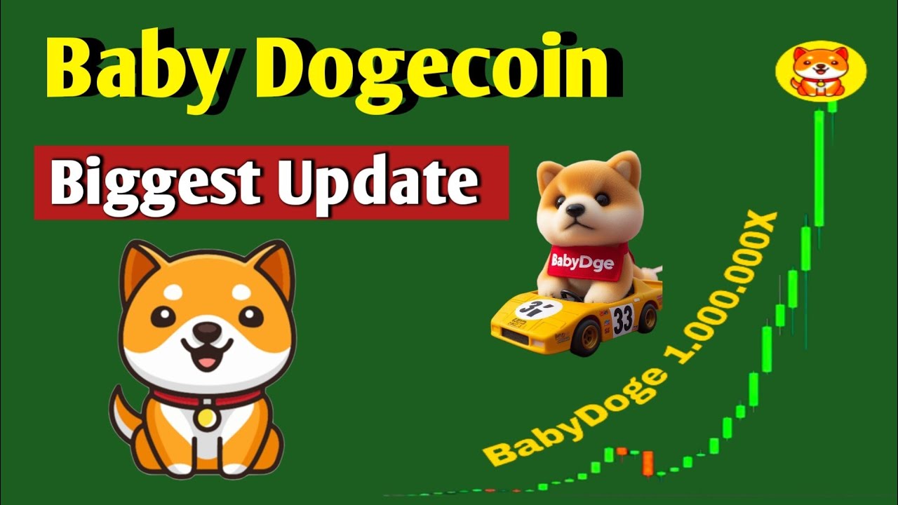 Will Baby dogecoin fulfill dreams? , All Information BTC