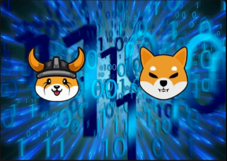 Crypto Clash: Dogecoin vs. Floki Inu – A Year-End Faceoff