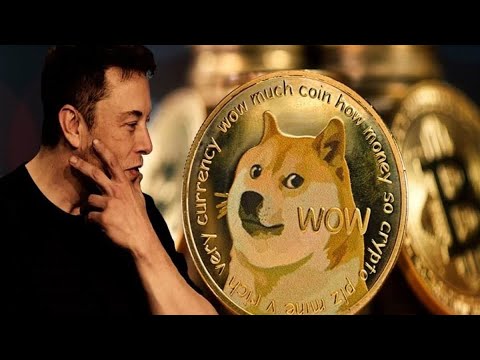 spacex dogecoin news || dogecoin news today elon musk X || dogecoin news today in hindi